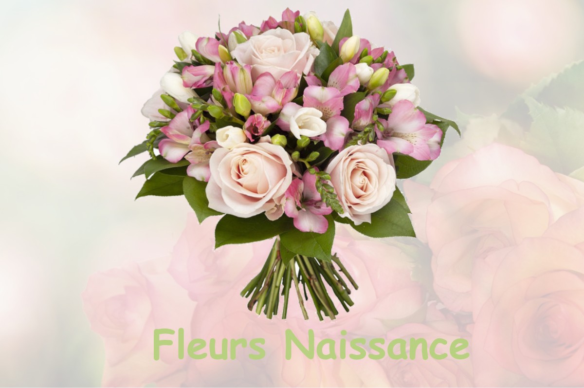 fleurs naissance SEICHEBRIERES