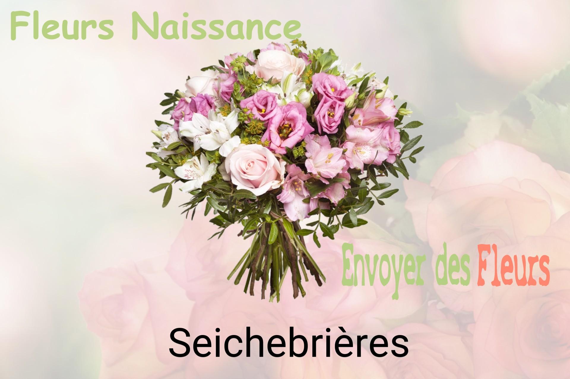 Bouquet de fleurs de naissance livré à Seichebrières