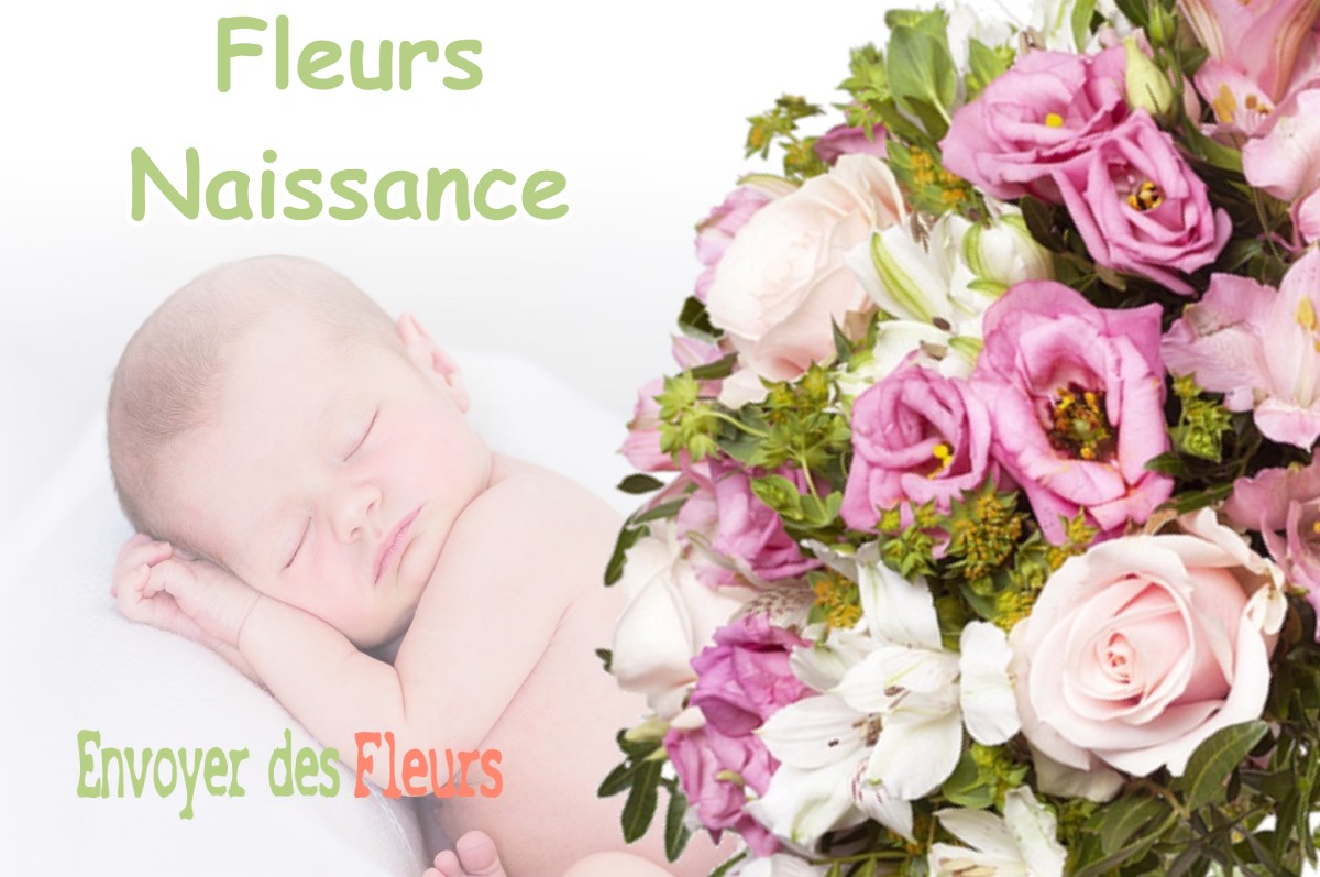 lIVRAISON FLEURS NAISSANCE à SEICHEBRIERES